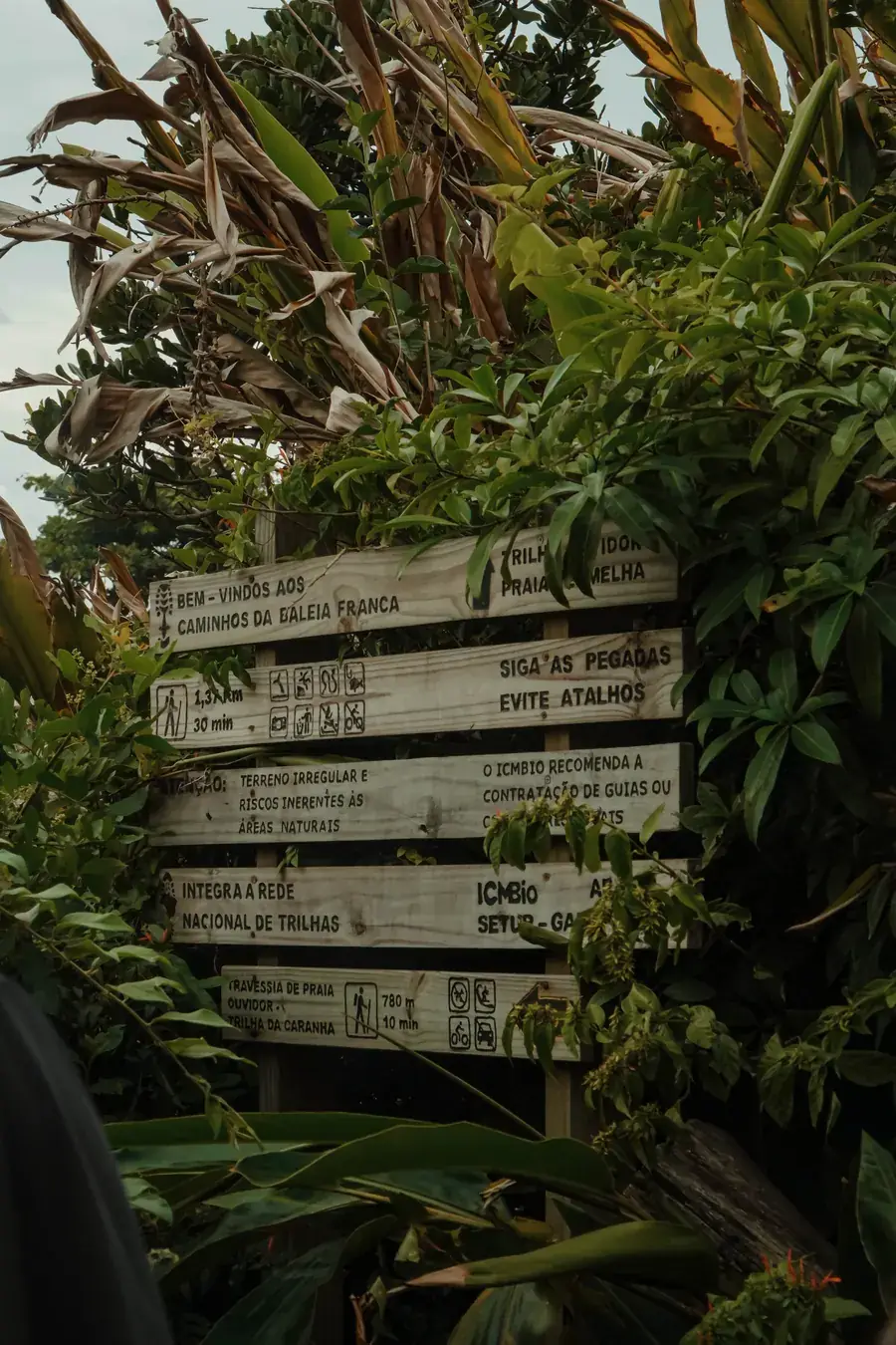 Cartel de senderos en la selva de Ferrugem